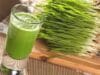 Arugampul (அருகம்புல்) juice